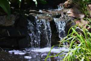 carrick hill 2014 (71)